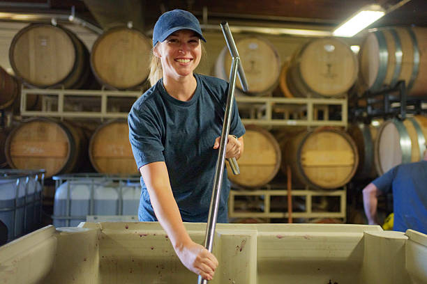 winemaker cleaning wine cellar